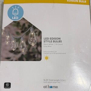LED Edison Bulbs with Grey Wire